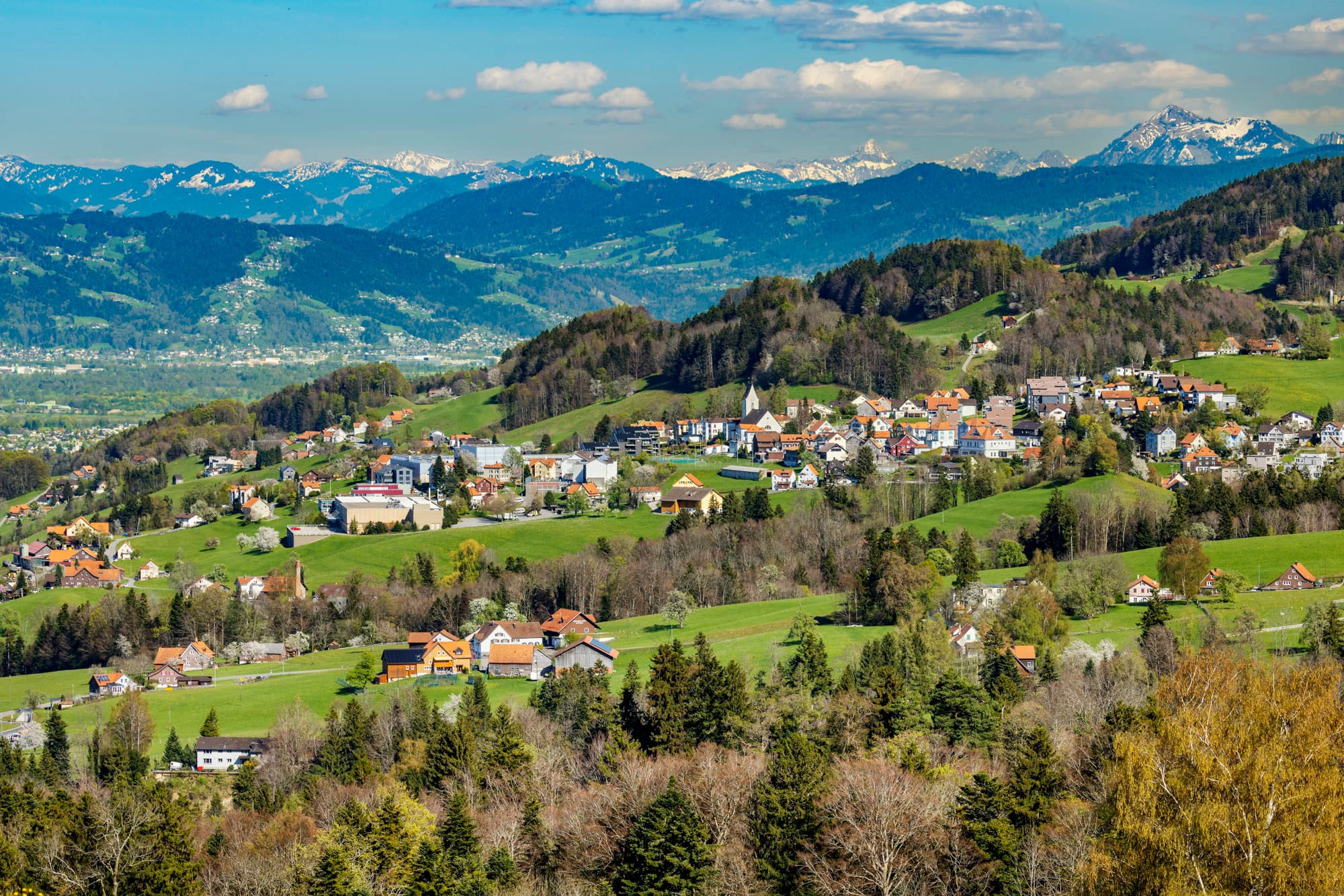 f immobilien ag - Agence immobilière à Wolfhalden