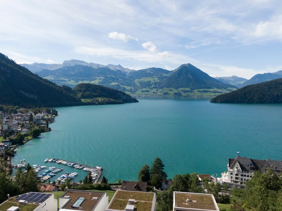 Stadelmann & Partner Immobilien AG - Agence immobilière à Hünenberg