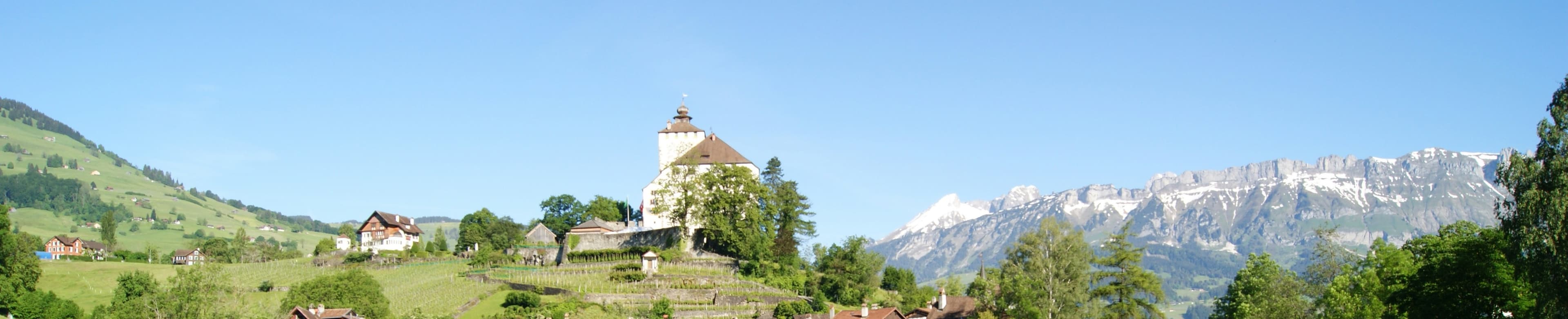 B&H Immobilien - Immobilienagentur in Buchs