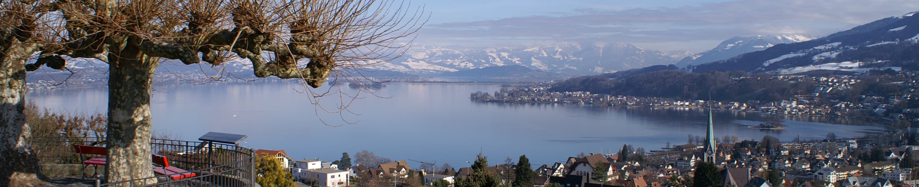 Vindauga Immobilien - Immobilienagentur in Richterswil