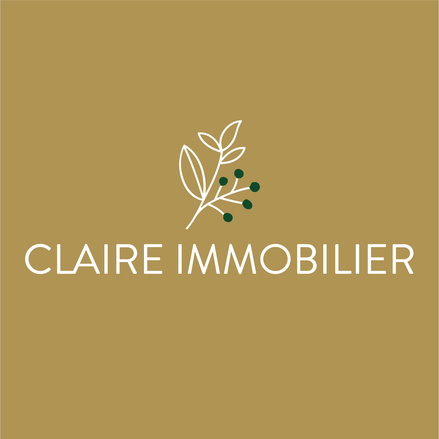 Claire Immobilier - Immobilienagentur in Noble-Contrée