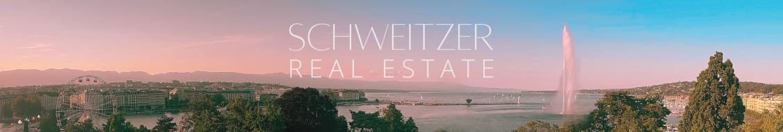 Dominic Arthur Schweitzer - Real Estate Agent in Carouge