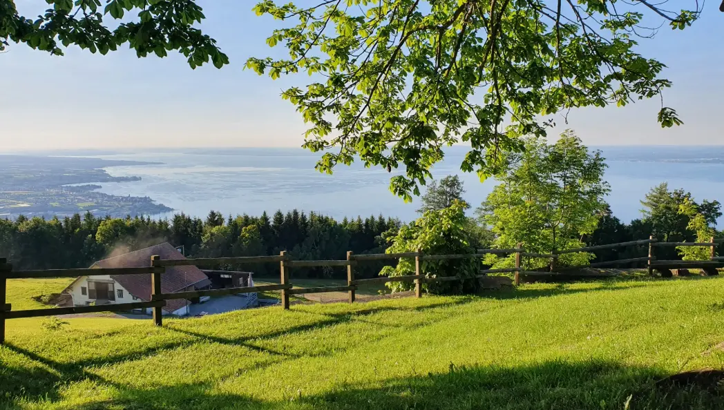 Finanz & Immo Consulting GmbH - Agenzia Immobiliare a Rorschacherberg