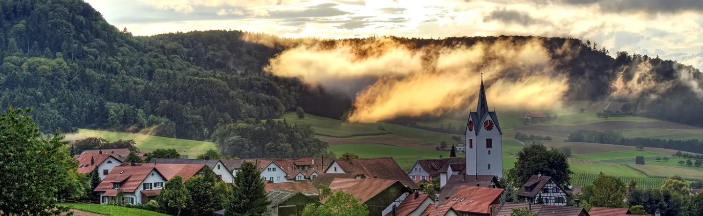 Immolution GmbH - Real Estate Agency in Buch am Irchel