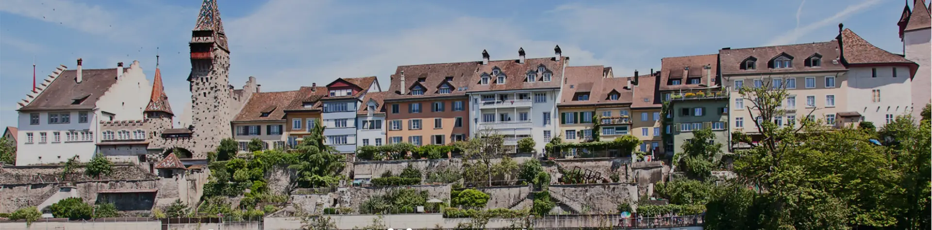 Tom Bucher - Real Estate Agent in Büttikon