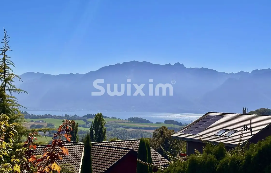 Swixim - Vevey - Immobilienagentur in Vevey