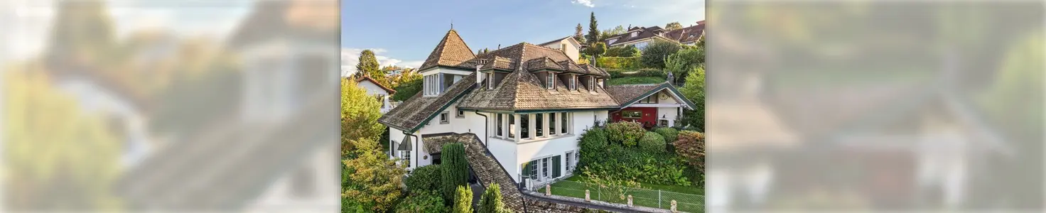 Helmut Höhn - Real Estate Agent in Horgen
