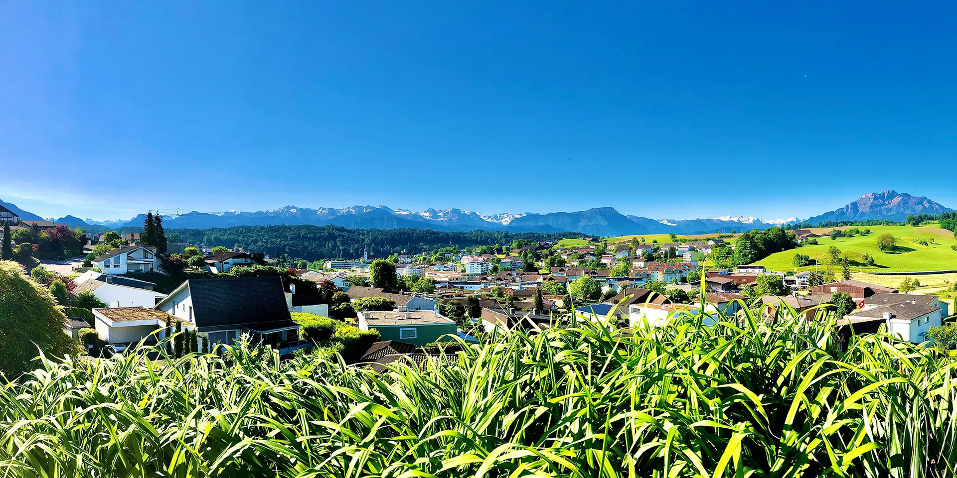 Nadia Schmidli - Immobilienmakler in Luzern