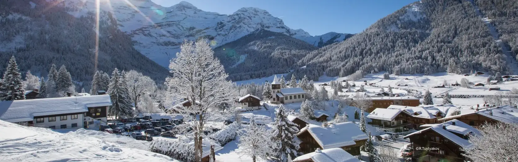 DHS Diablerets Home Services - Agenzia Immobiliare a Ormont-Dessus