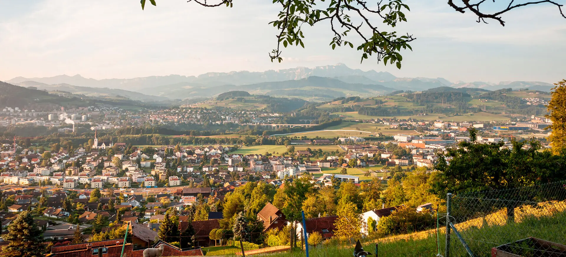 DICASA Immo Fürstenland GmbH - Real Estate Agency in Gossau