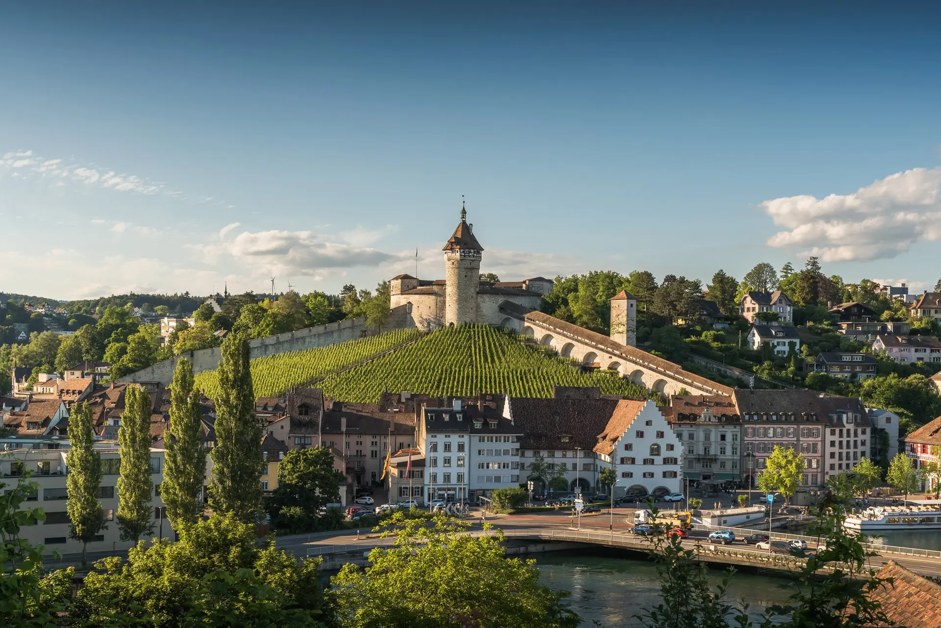 FREITAG IMMO - Real Estate Agency in Flurlingen