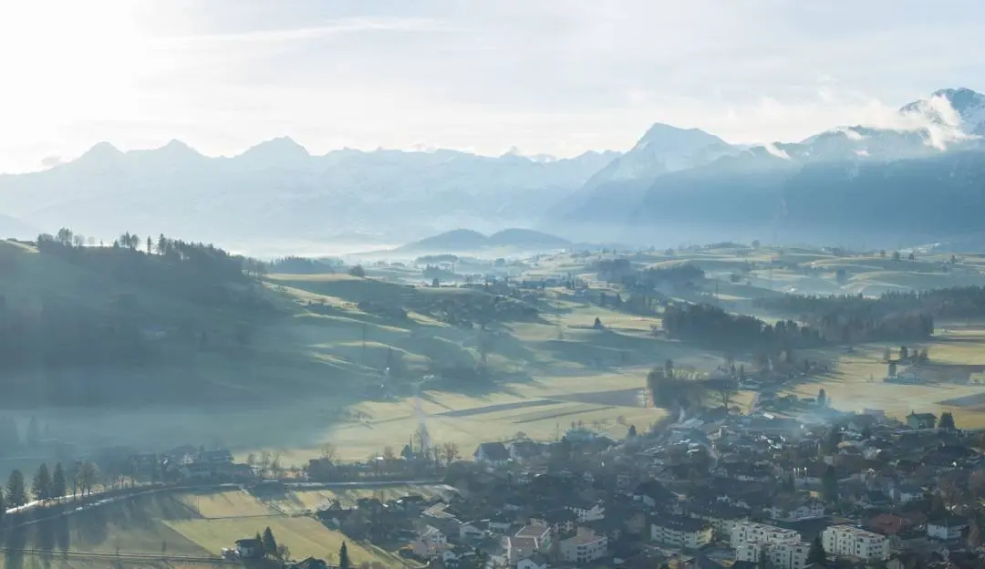 immopoint24 - Real Estate Agency in Wattenwil