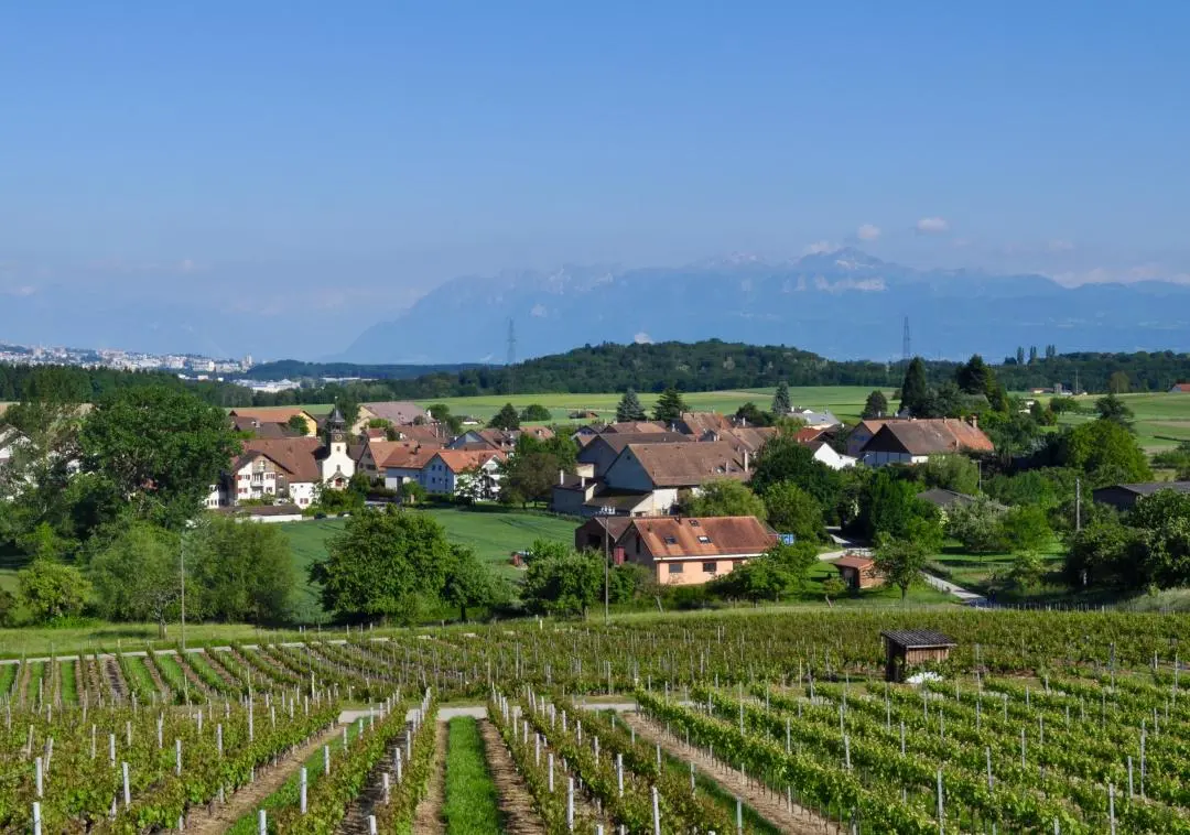 JFR Immobilier - Agenzia Immobiliare a Echandens