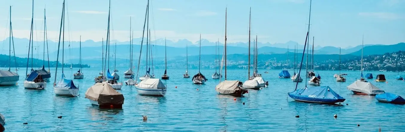 Özgür Ogulkanmis - Immobilienmakler in Wädenswil