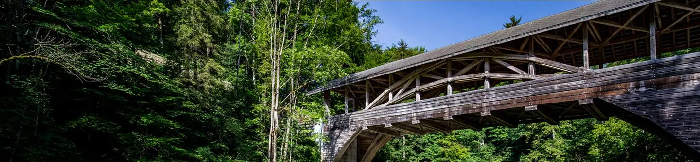 Vetsch Treuhand + Immobilien AG - Immobilienagentur in Ebnat-Kappel
