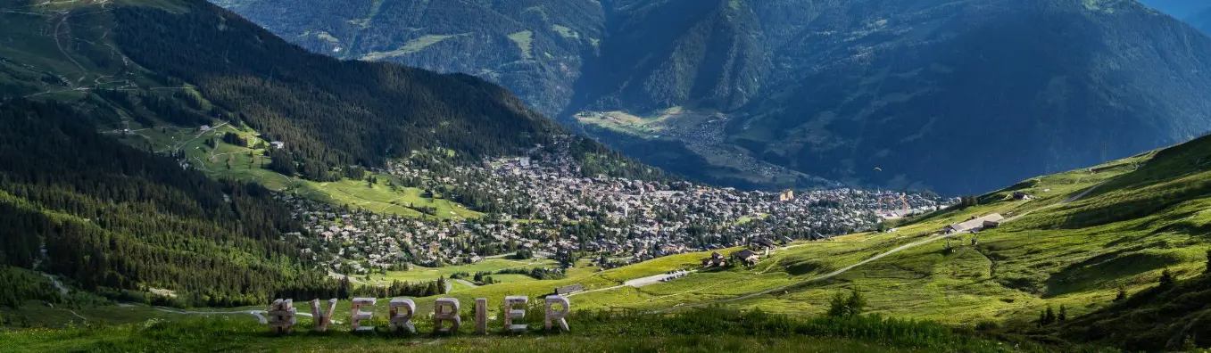 Michael Fellay - Real Estate Agent in Verbier