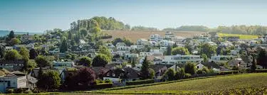 Roland Huber Immobilien AG - Agence immobilière à Islikon