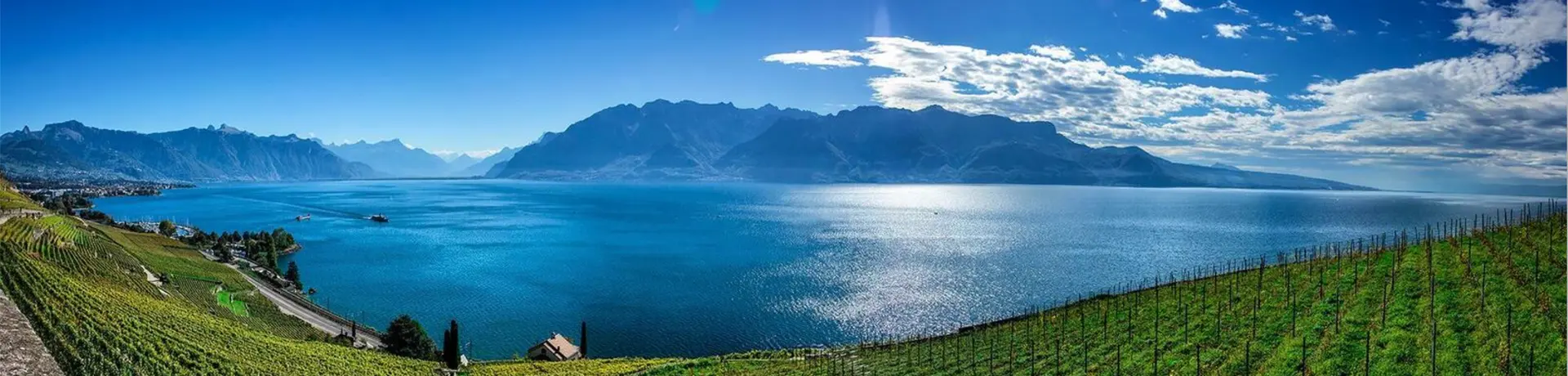 Norbert Dupertuis - Agente Immobiliare a Vevey