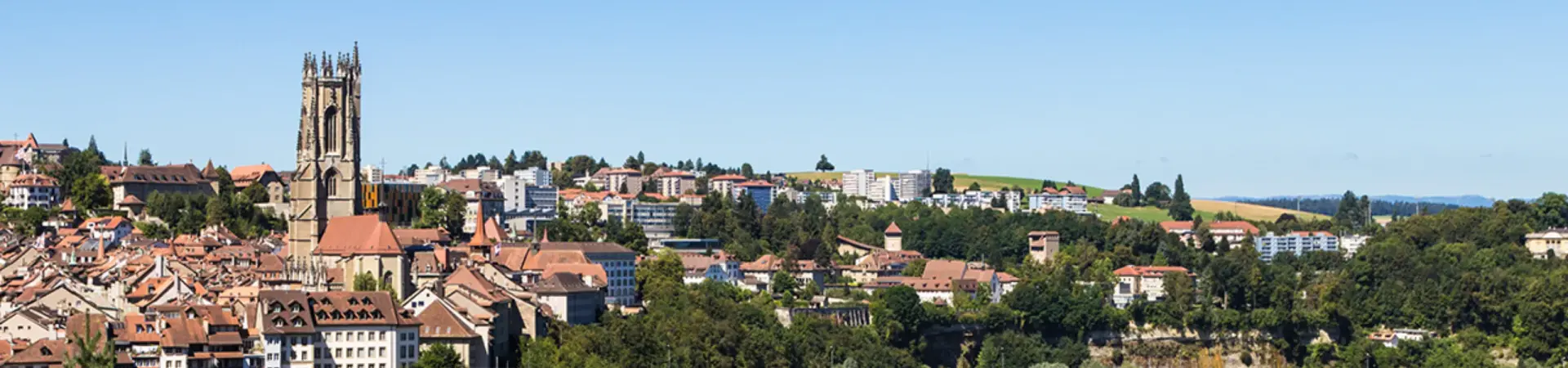 RE/MAX Fribourg - Agenzia Immobiliare a Fribourg