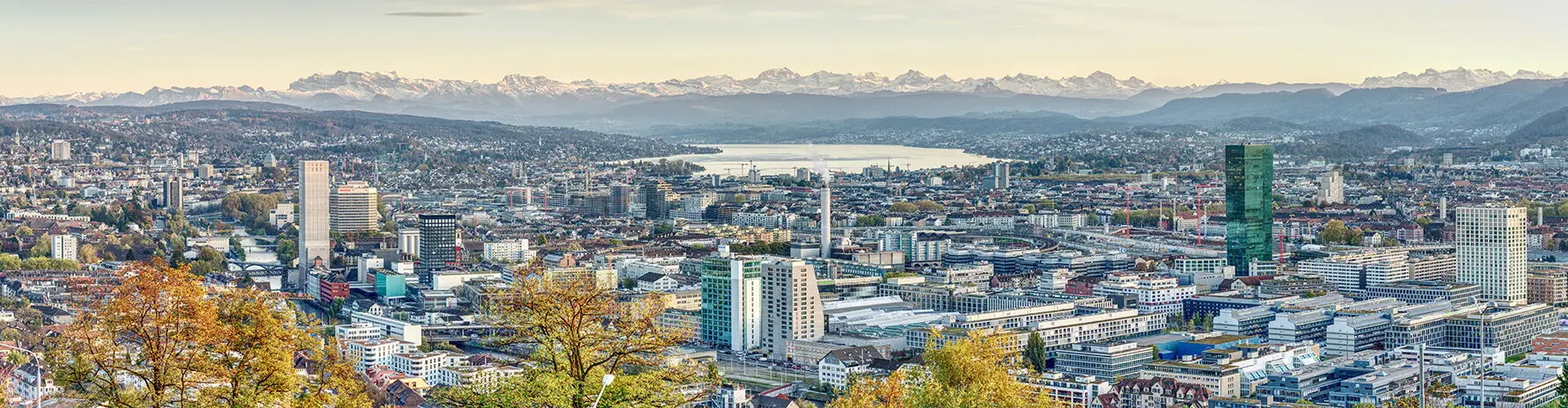Offmarket Immobilien Schweiz GmbH - Agenzia Immobiliare a Wollerau