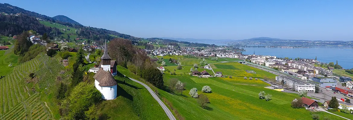 Immobilitas AG - Real Estate Agency in Altendorf