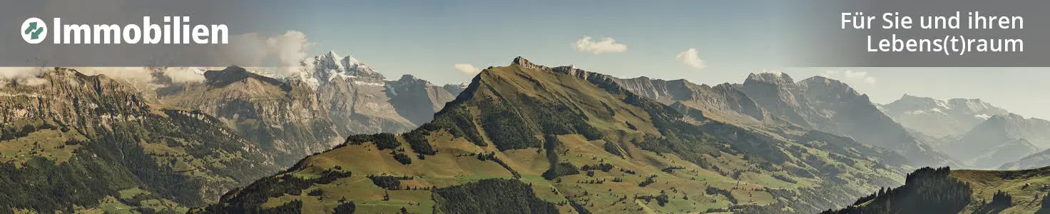 2B & Partner - Agence immobilière à Adelboden