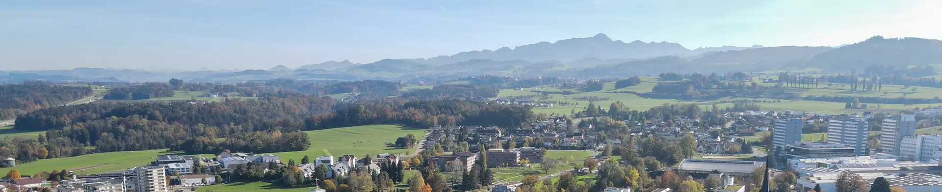 Ralf Kaspar - Real Estate Agent in Niederuzwil