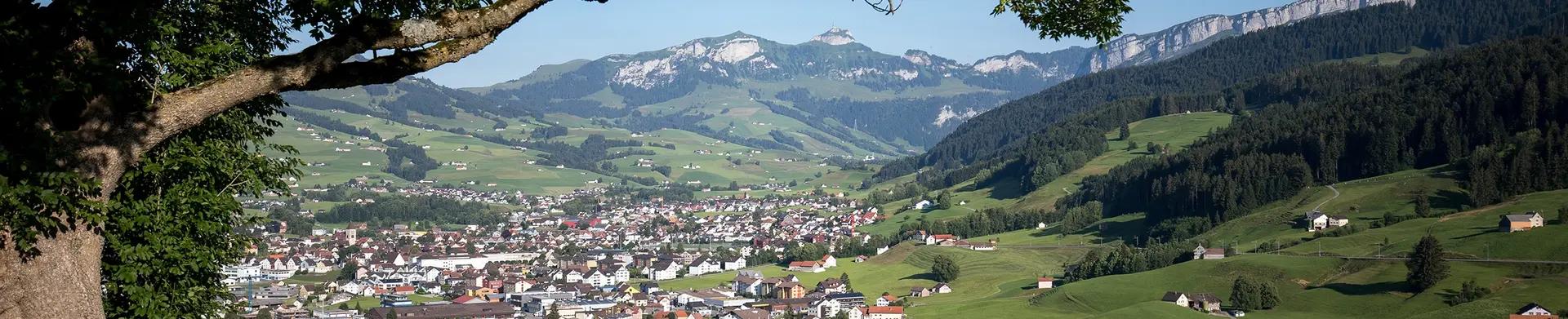 Reto Mock - Courtier immobilier à Appenzell