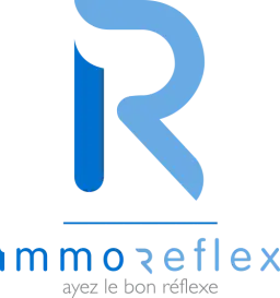 Immo Reflex Sàrl
