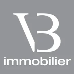 VB Immobilier