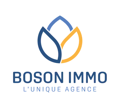 Boson Immo
