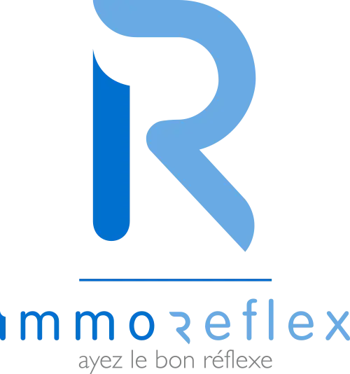 Immo Reflex Sàrl